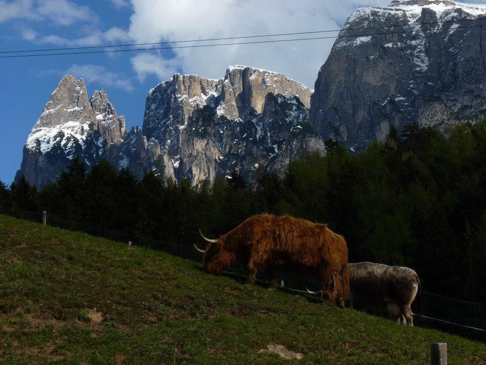 Gasthof Albergo Kreuzwirt Fie allo Sciliar Bagian luar foto